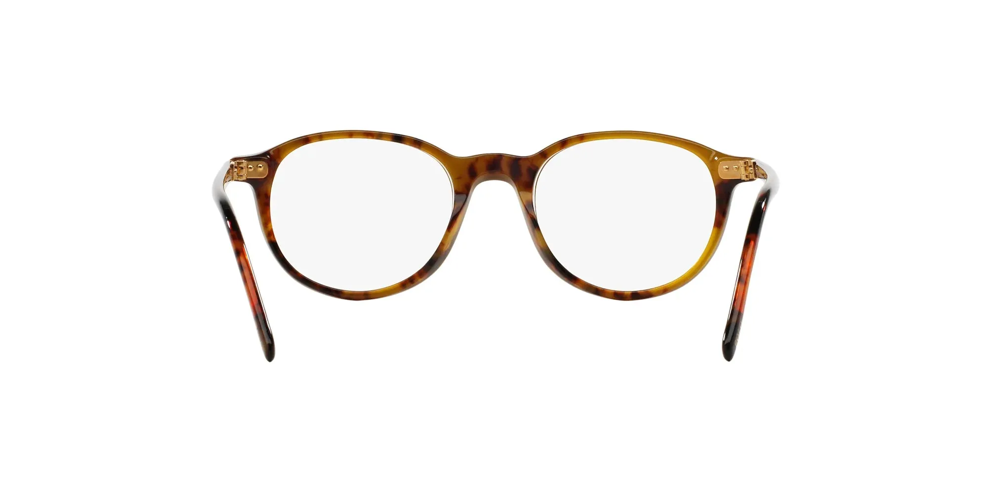 Polo PH2047 Eyeglasses | Size 48