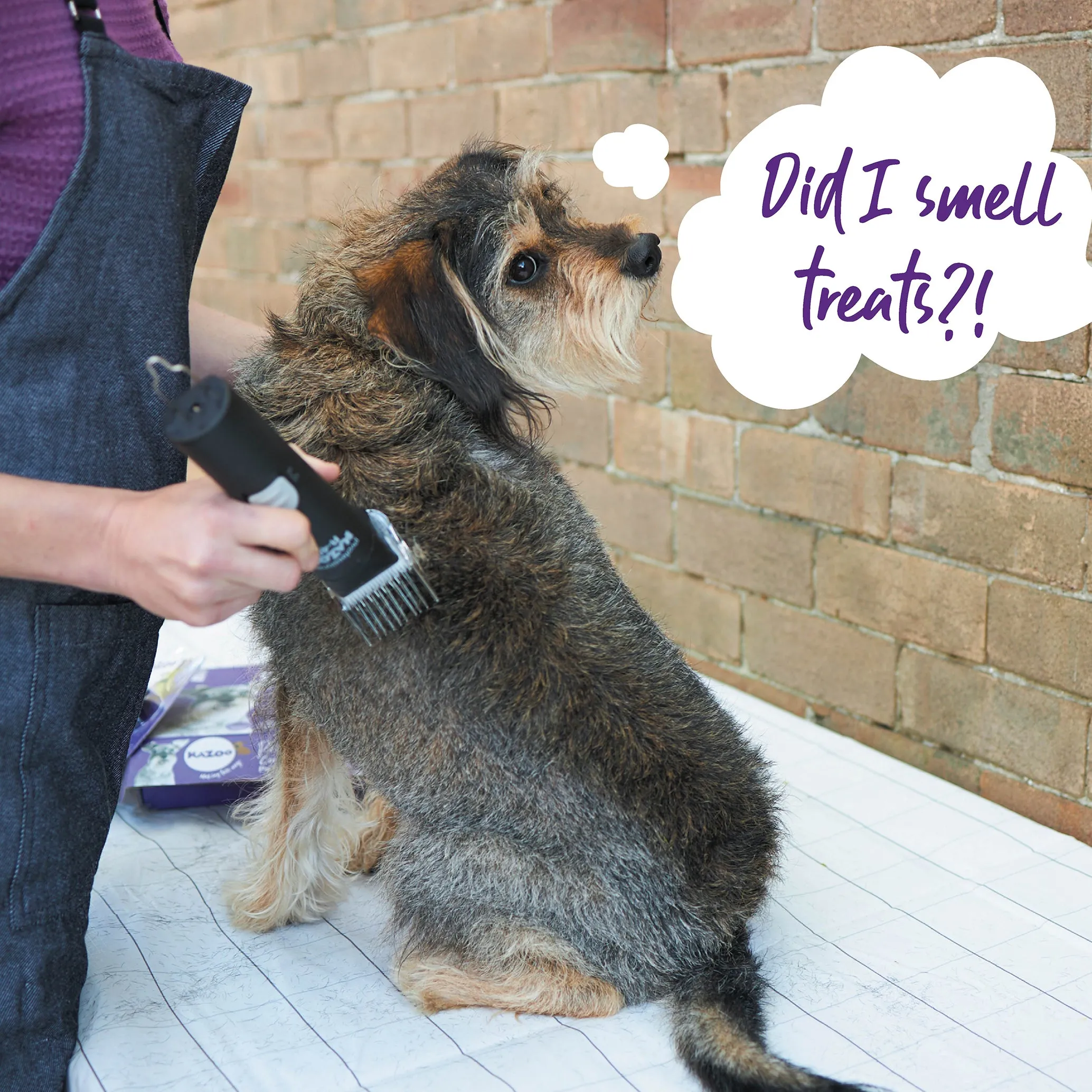 Pro Power Cordless Pet Clipper